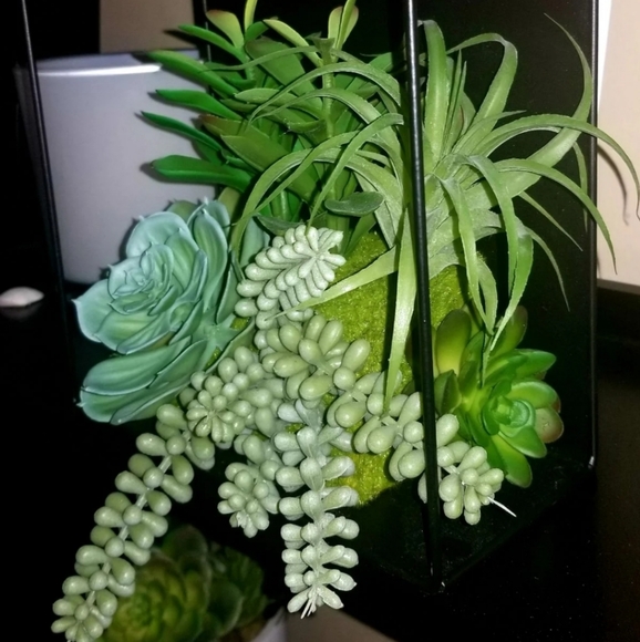 Succulent Floating Cube Shelf Wall Decor - Picture 3 of 8